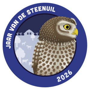 2026: jaar van de Steenuil